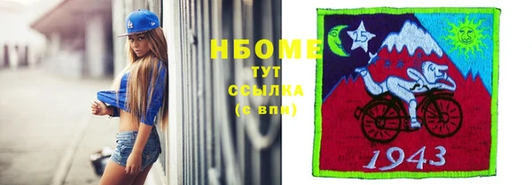 дмт Алзамай
